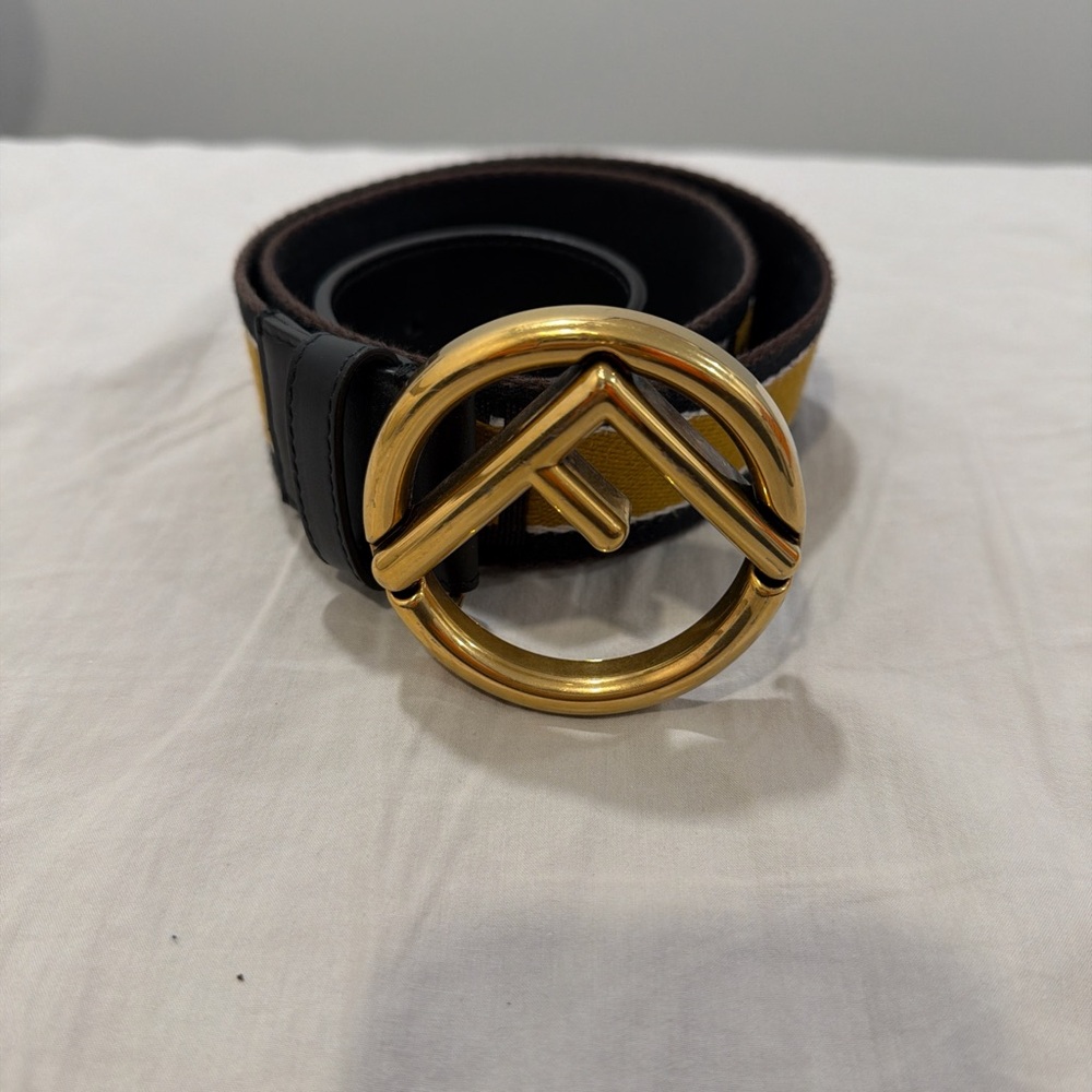 Gold and Black Belt with Circular Buckle